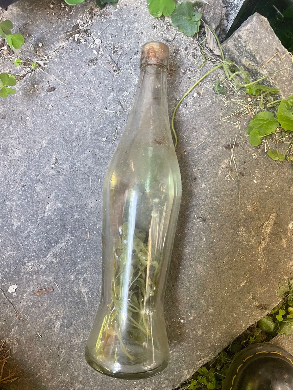 Bottiglie: Alte leere Flasche – Usato da Minusio venduto da Pink222 2