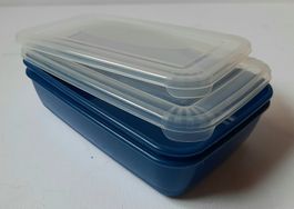 2-er Set Frischhaltedosen - Aufbewahrungsdosen - Lunchbox