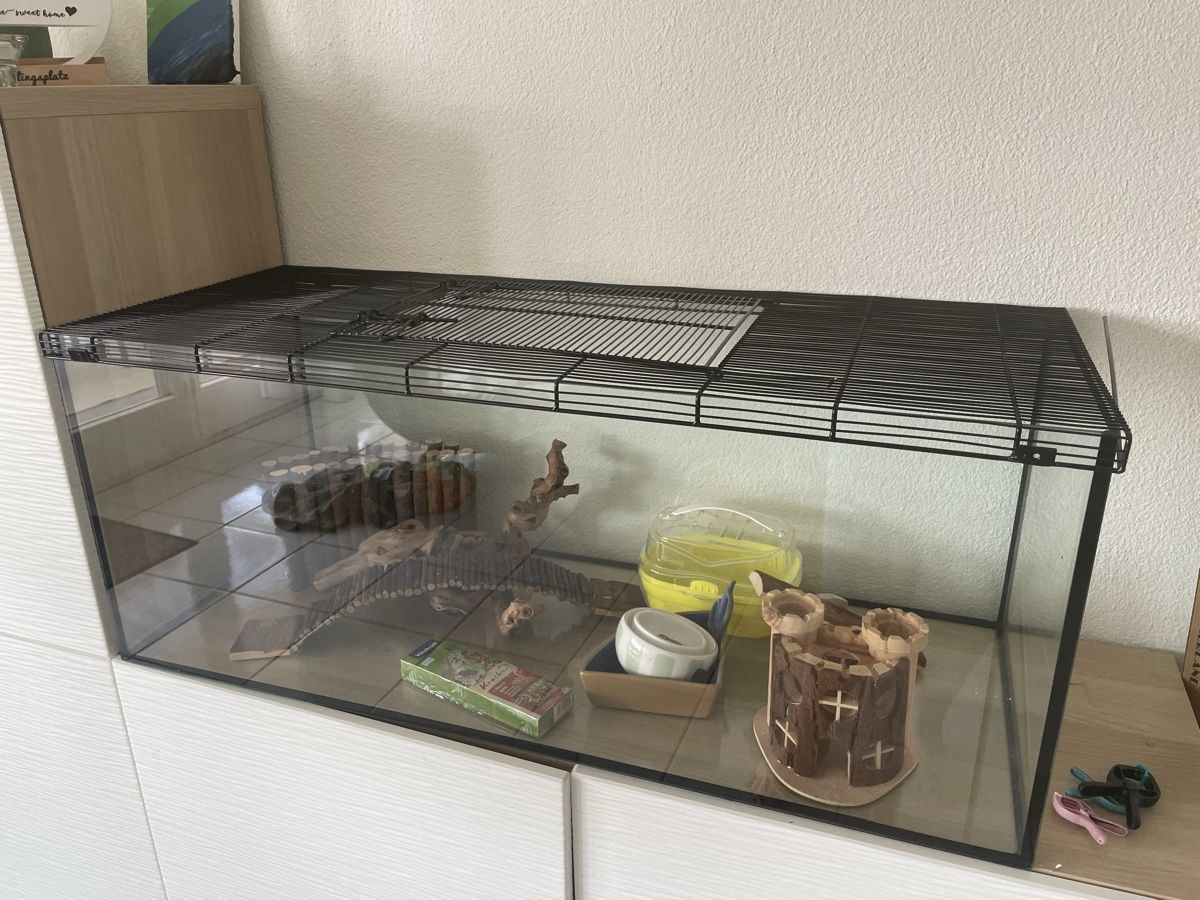 Gabbie, trasporto & Sicurezza: Hamsterkäfig mit Zubehör  – Usato da Fehraltorf venduto da clazu84