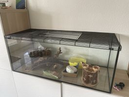 Hamsterkäfig mit Zubehör 