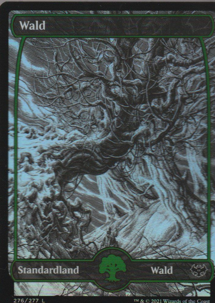 Magic The Gathering Sammelbilder & Trading cards: TCG Magic The Gathering MTG De VOW 276 FOIL BASIC LAND Wald – Neu (gemäss Beschreibung) aus Vezia von Aquarius_Age