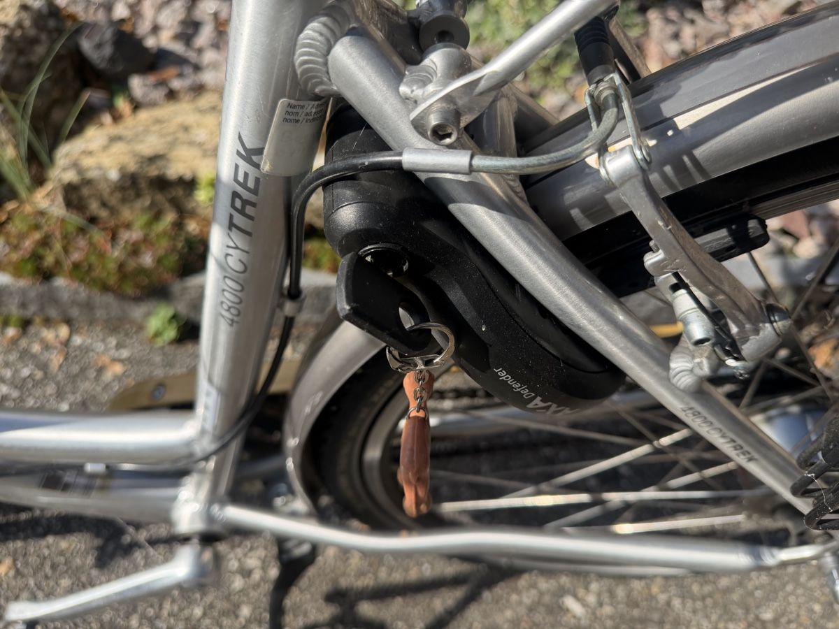 Wheeler Biciclette: Velo Wheeler – Usato da Trimbach venduto da ale5522 3