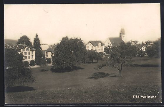 Cartoline postali: AK Wolfhalden, Ortsansicht vom Feld aus – Usato da Berlin venduto da bartko-reher