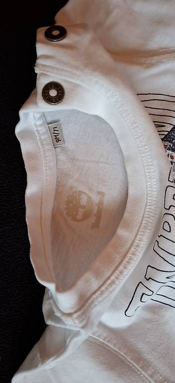 Timberland Camicie, T-shirt & Polo: Zwei Timberland Shirt Gr.74 – Usato da Noflen BE venduto da gab_lj9f 2
