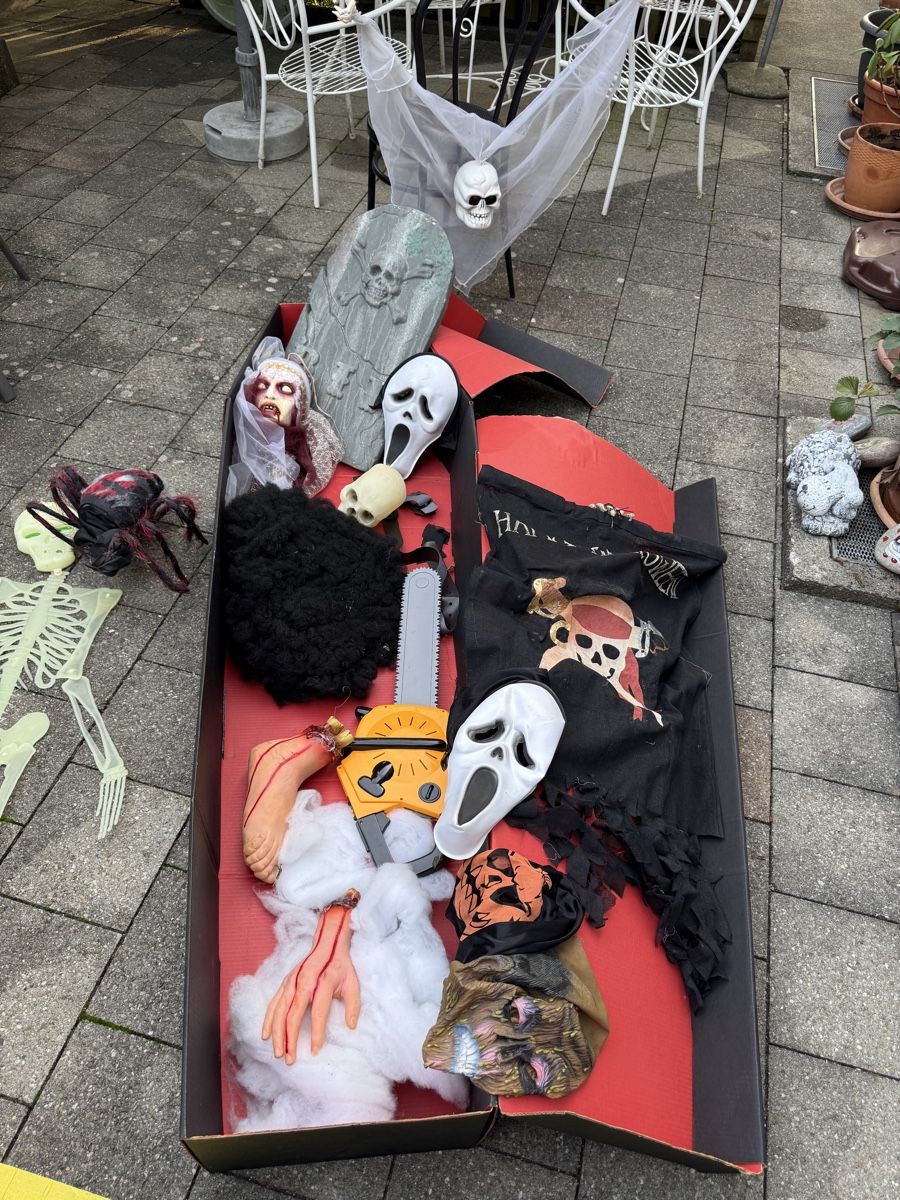 Alle Dekorationen: Halloween Decorations  – Gebraucht aus Worblaufen von Jarnold 4