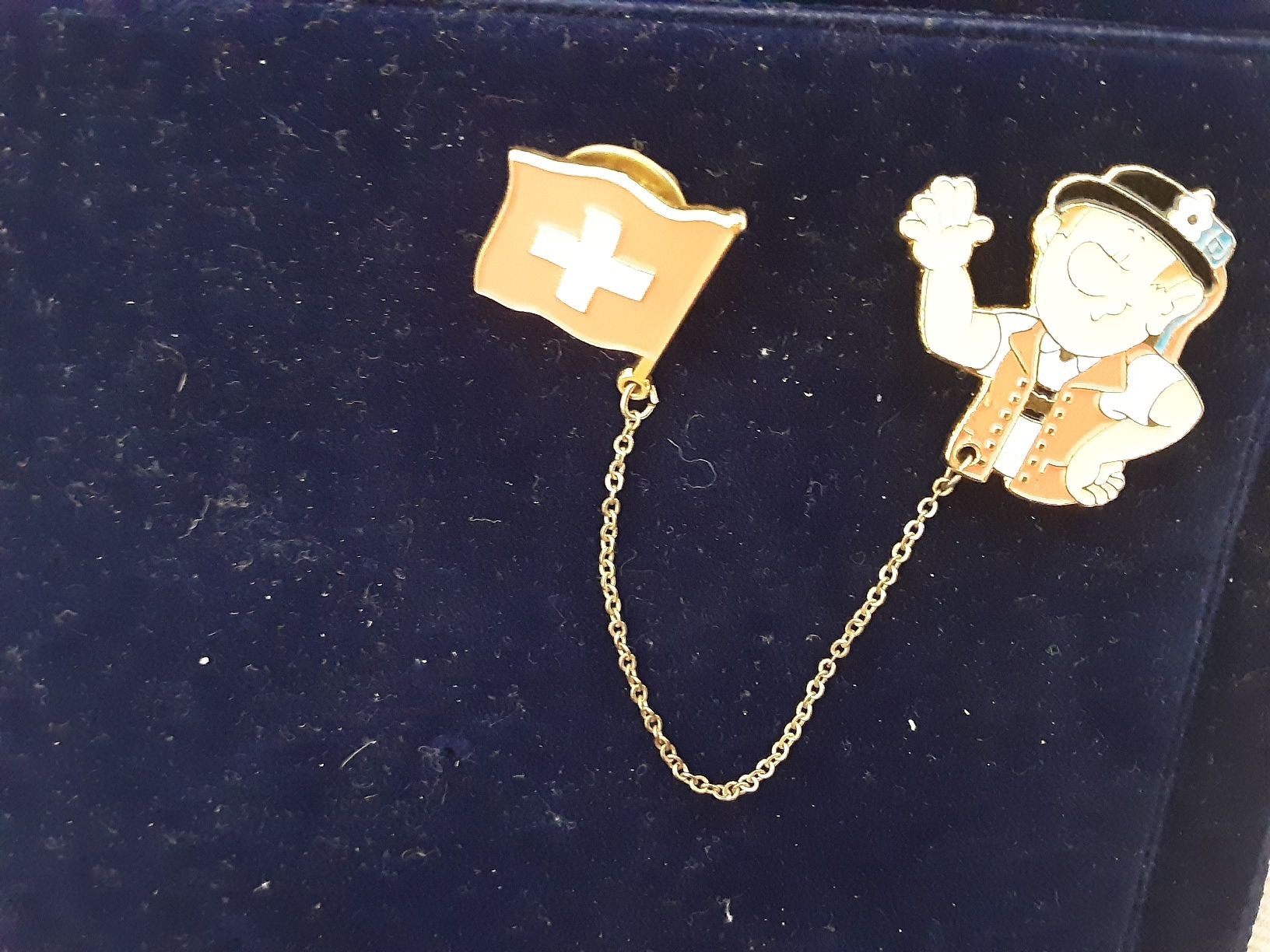 Swiss Placchette & Badge: appenzeller Schweizer pin – Usato da wolfhalden venduto da 46464646 1