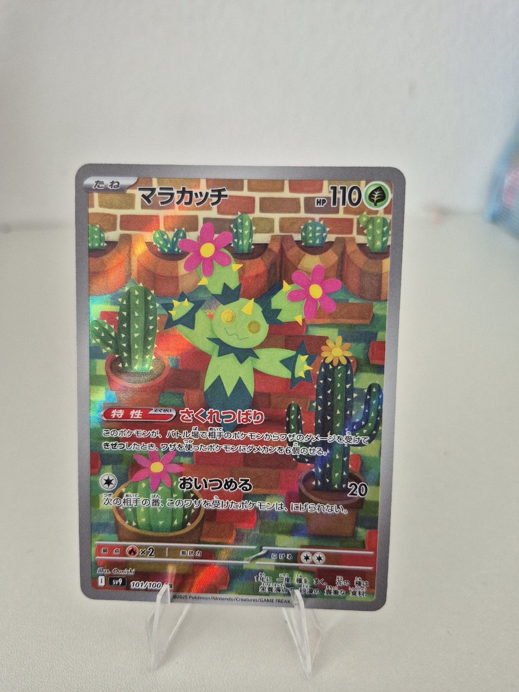 Pokémon Carte collezionabili: Pokemon Karten NM JPN – Nuovo (secondo la descrizione) da Steinmaur venduto da Psiana_lover20 5