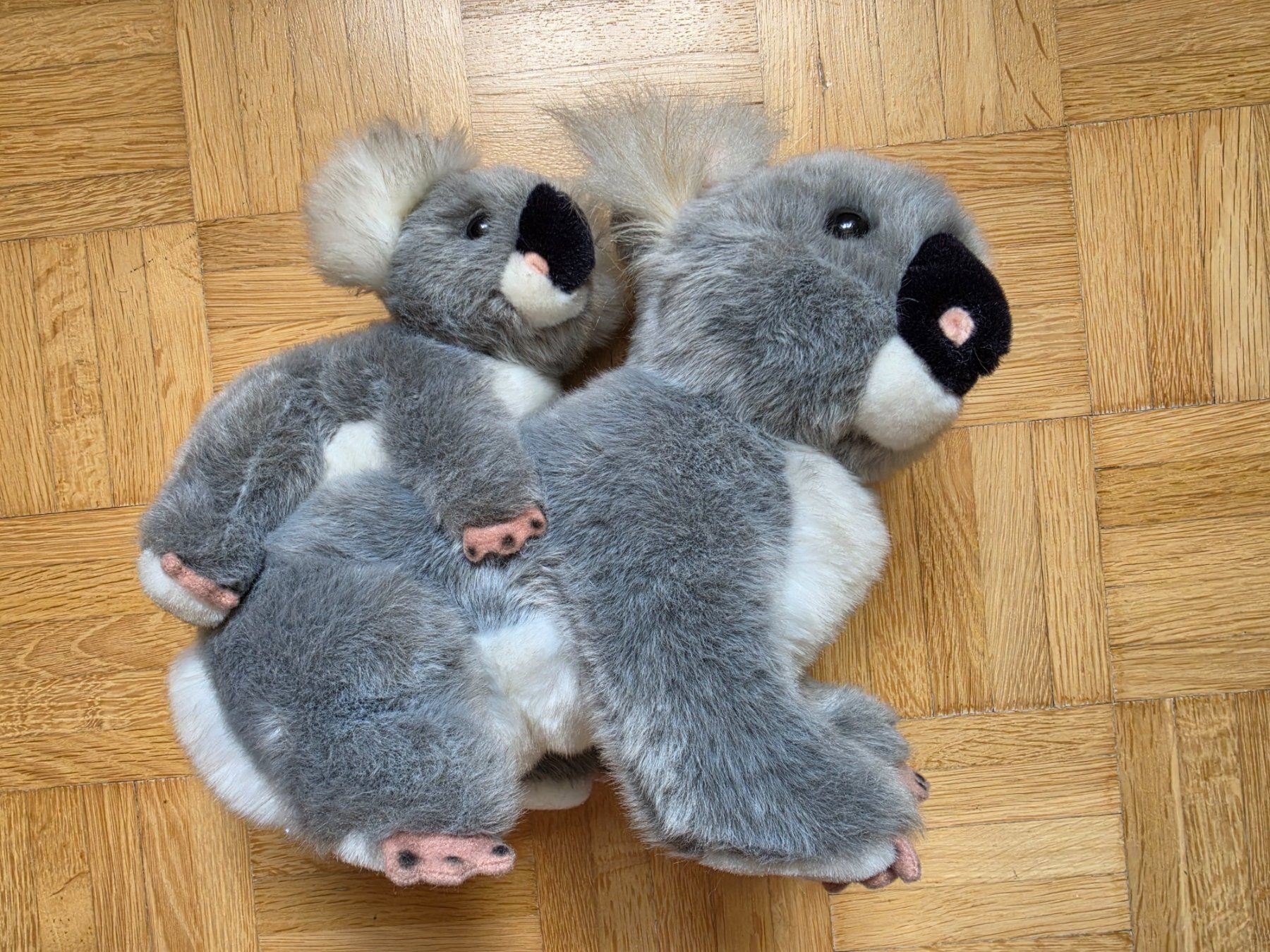 Giocattoli: Plüschtier Koala – Usato da Stäfa venduto da flamingo_17 2
