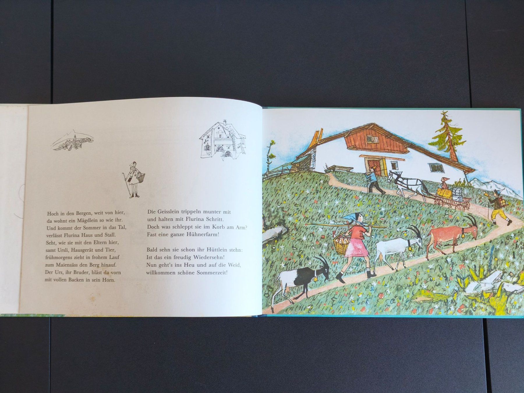 Libri: Buch: Flurina – Usato da Lenzburg venduto da Dani_Lenzburg 2