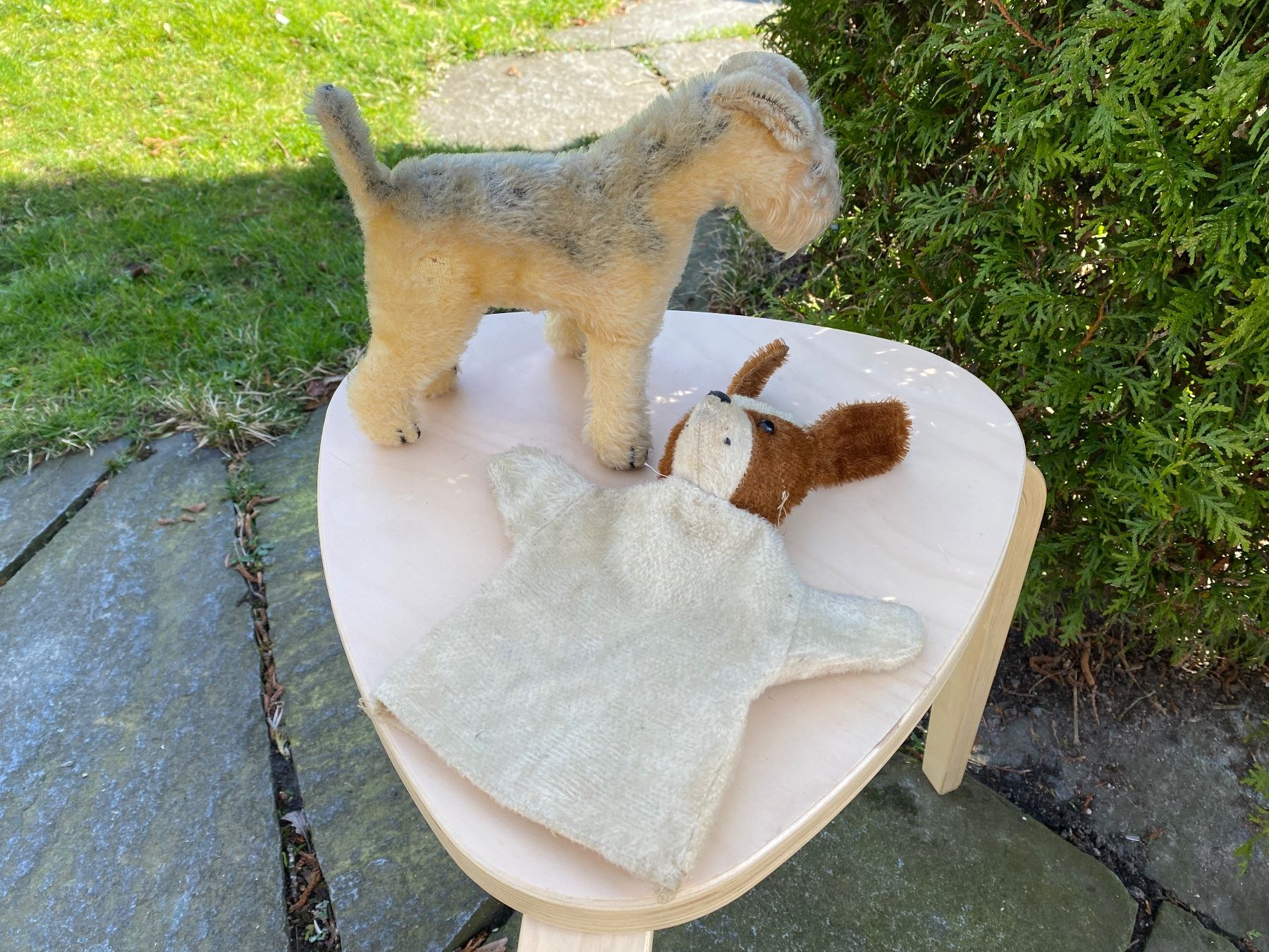 Giocattoli: antiker Terrier und Handpuppen-Hund – Usato da Feldbach venduto da Olive1 1