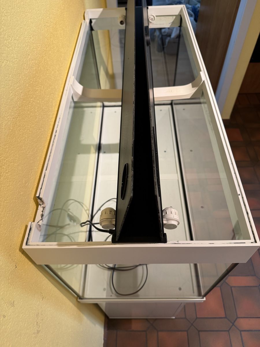 Juwel Acquari: Juwel 180 L Aquarium Weiss – Usato da Hölstein venduto da Bri4nK 2