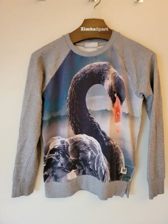 Pullover von Molo mit Schwanenmotiv Grösse 152 grau