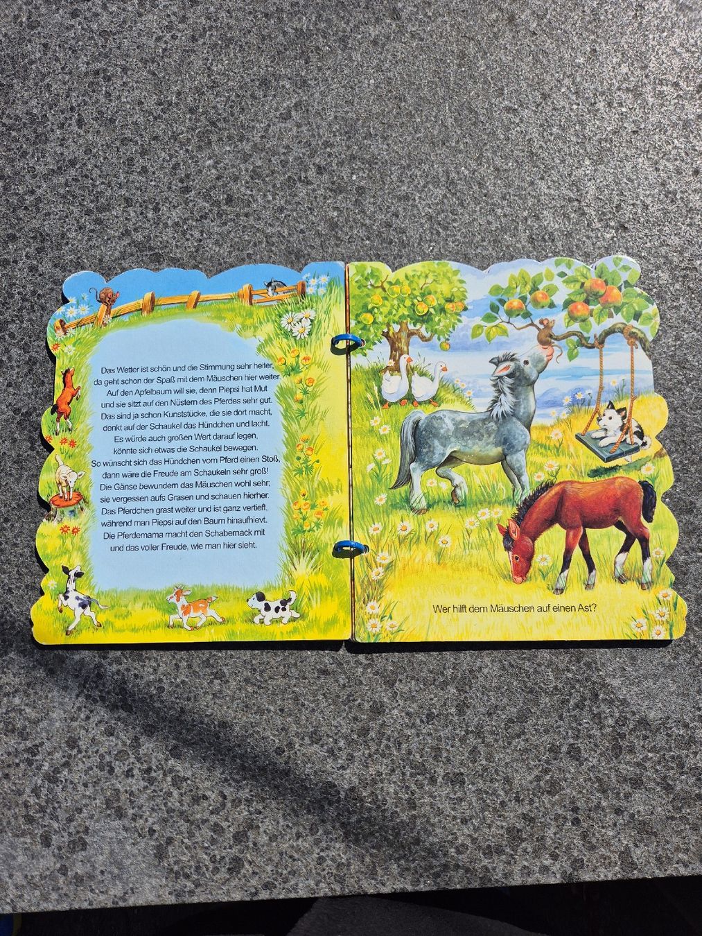 Bücher: Buch, Meine liebsten Bauernhoftiere – Gebraucht aus Stansstad von Kyra014 1