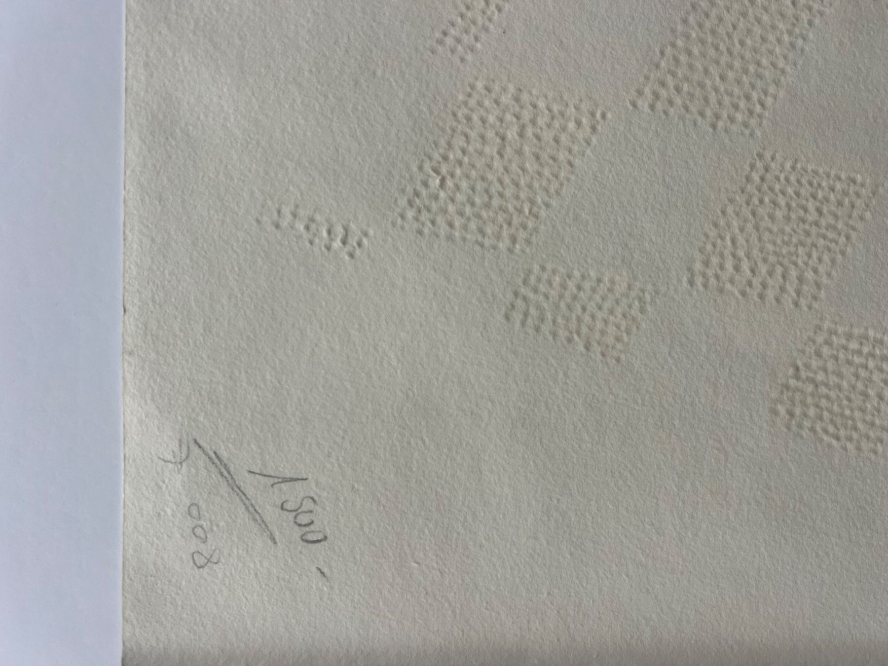 Grafica & Litografie: Arthur Luiz Piza, handsigniert und nummeriert – Usato da Rain venduto da Pic-Ass 5