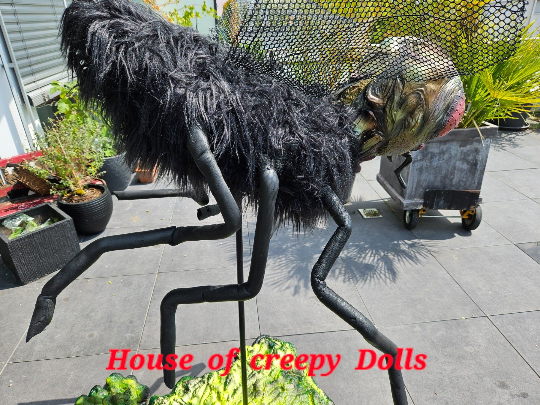 Toutes les décorations: HALLOWEEN 🎃/ HORROR RIESEN FLIEGE – Neuf avec emballage d'origine à Root par LifestyleAccessoires 3