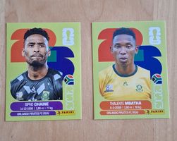 WM- Panini Sticker 2026 South Africa