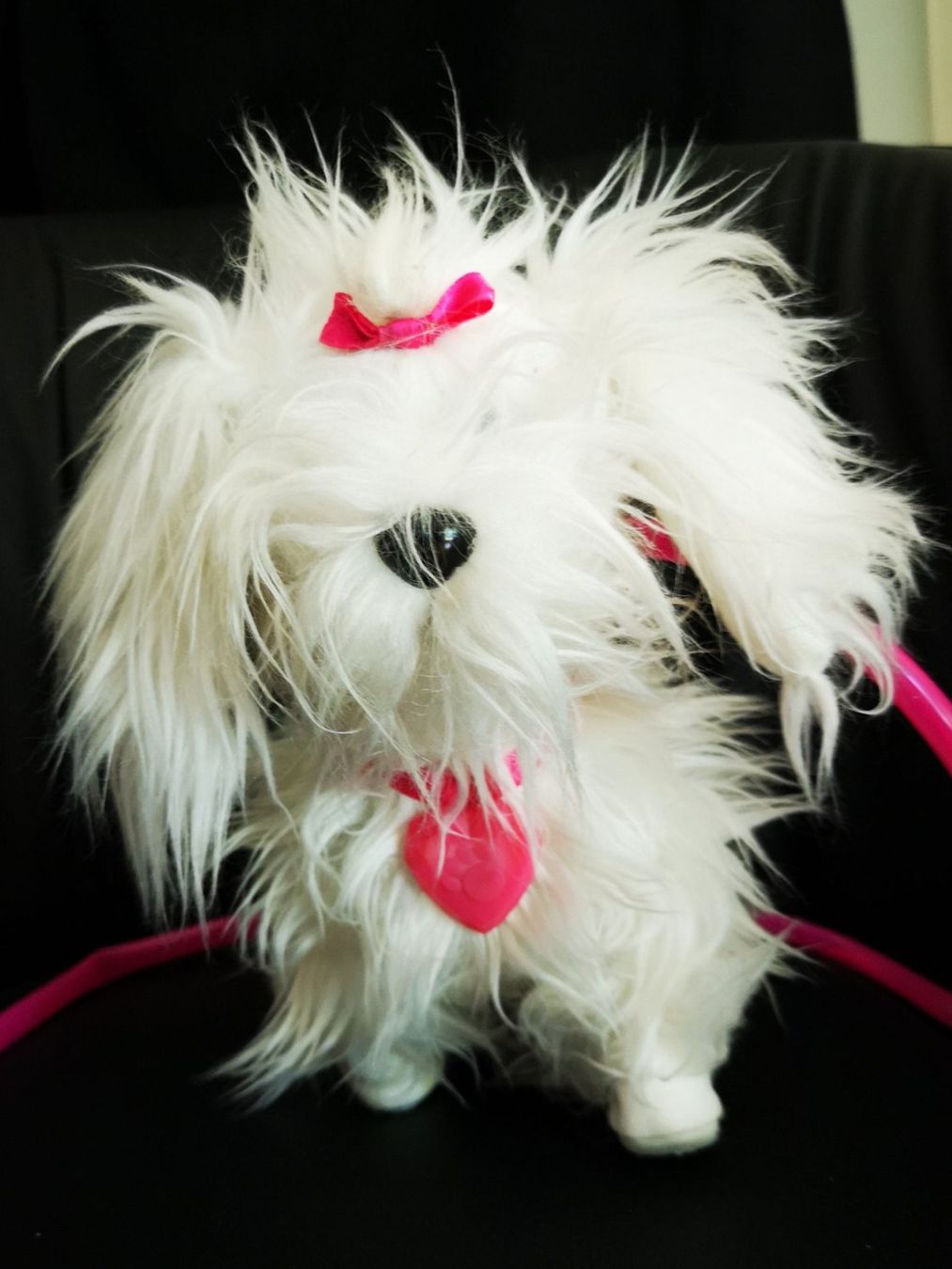 Giocattoli: FLUFFY von Animagic Toys – Usato da Liestal venduto da Gitterli01 2