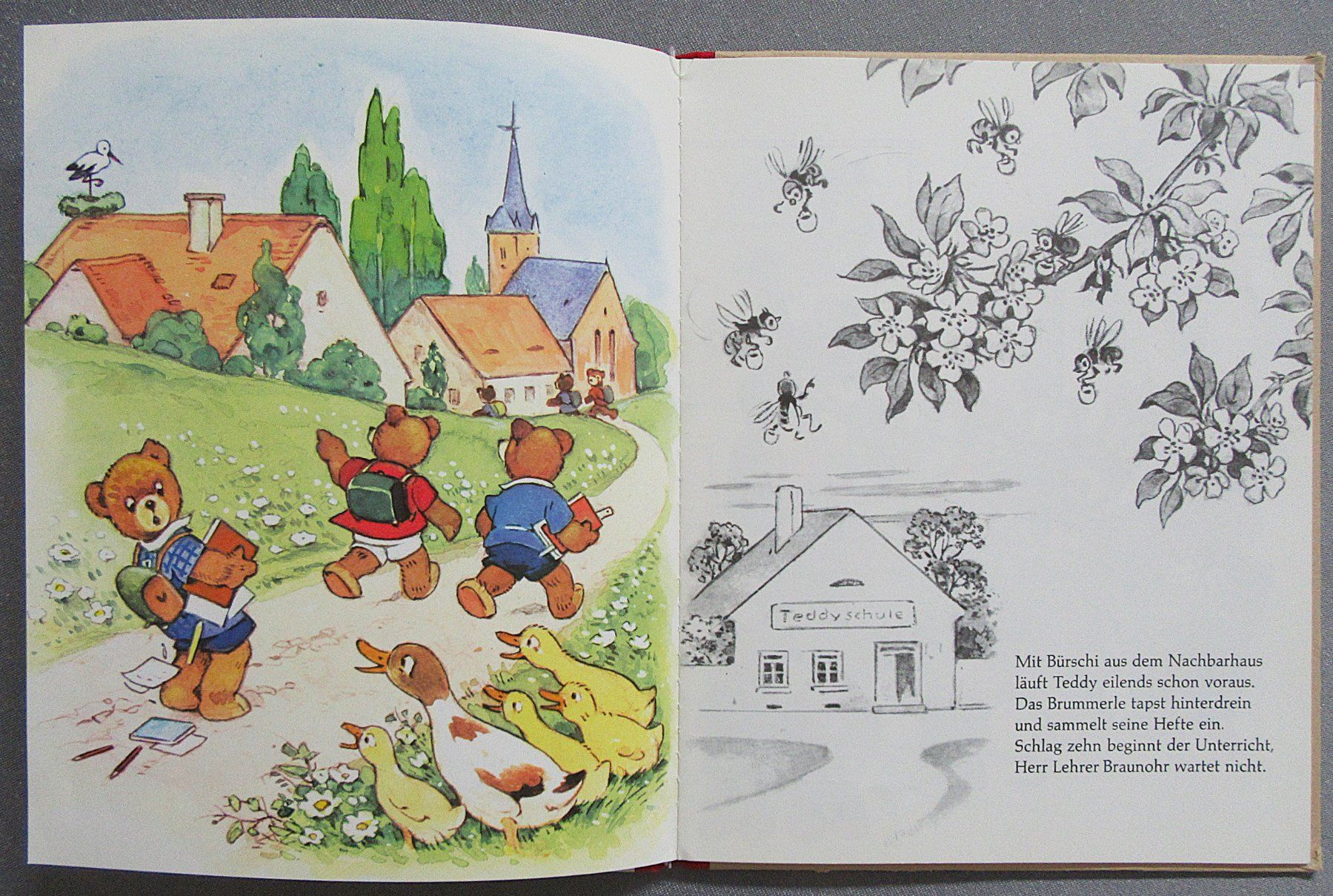 Libri: Die Teddyschule - mit Bildern von Fritz Baumgarten – Usato da Auenstein venduto da Padabimbim 2
