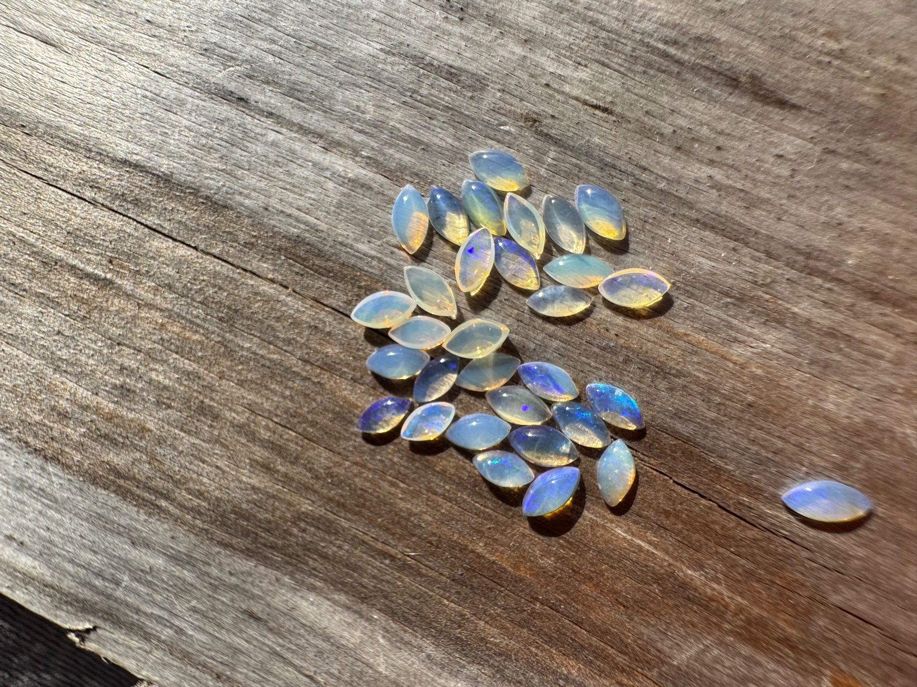 Fossili: 30 Stk  Cabochons Opal  echt!! winzig neu    2x4mm  solid – Nuovo e nell'imballaggio originale da Leuggern venduto da gemshow 2