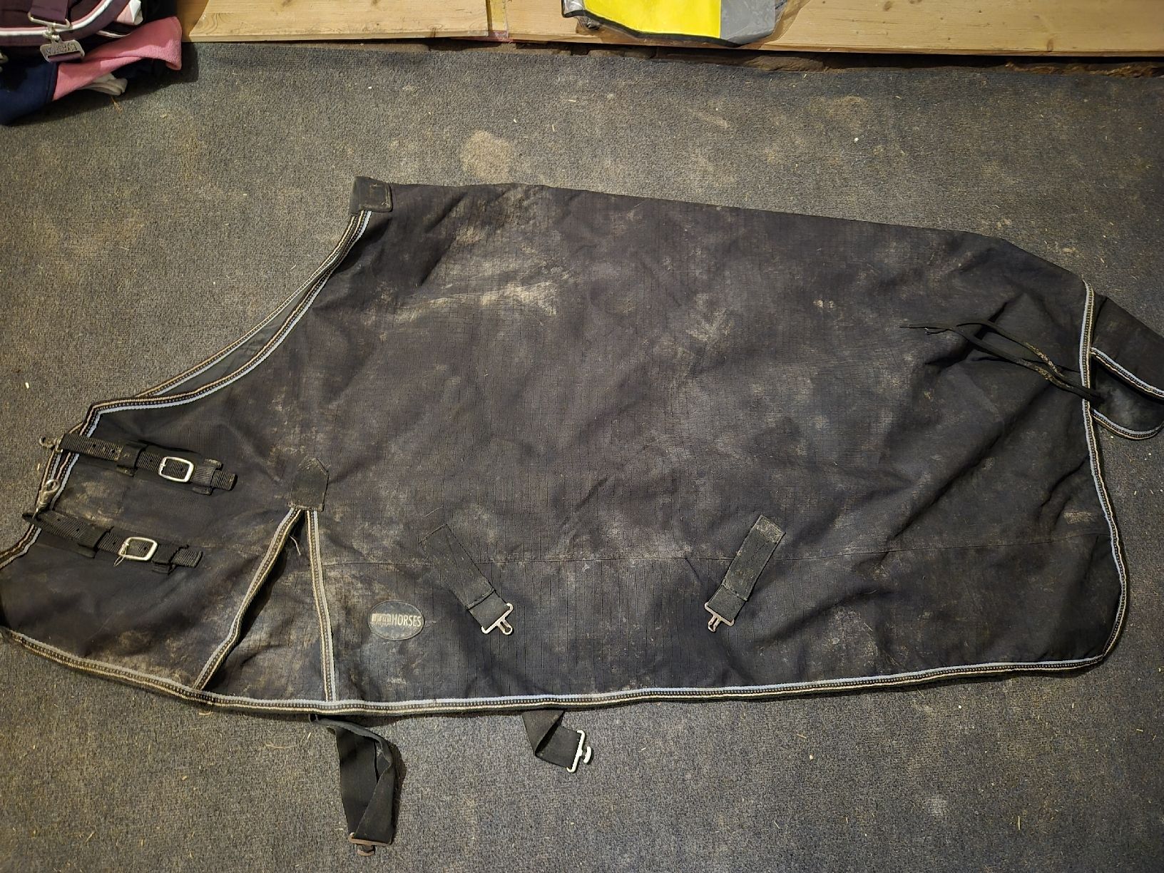 Coperte: RMhorses Regendecke 125 – Usato da Meggen venduto da Orrinka20