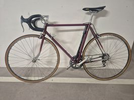 Rennvelo Velora H.P. Heermann Horgenberg