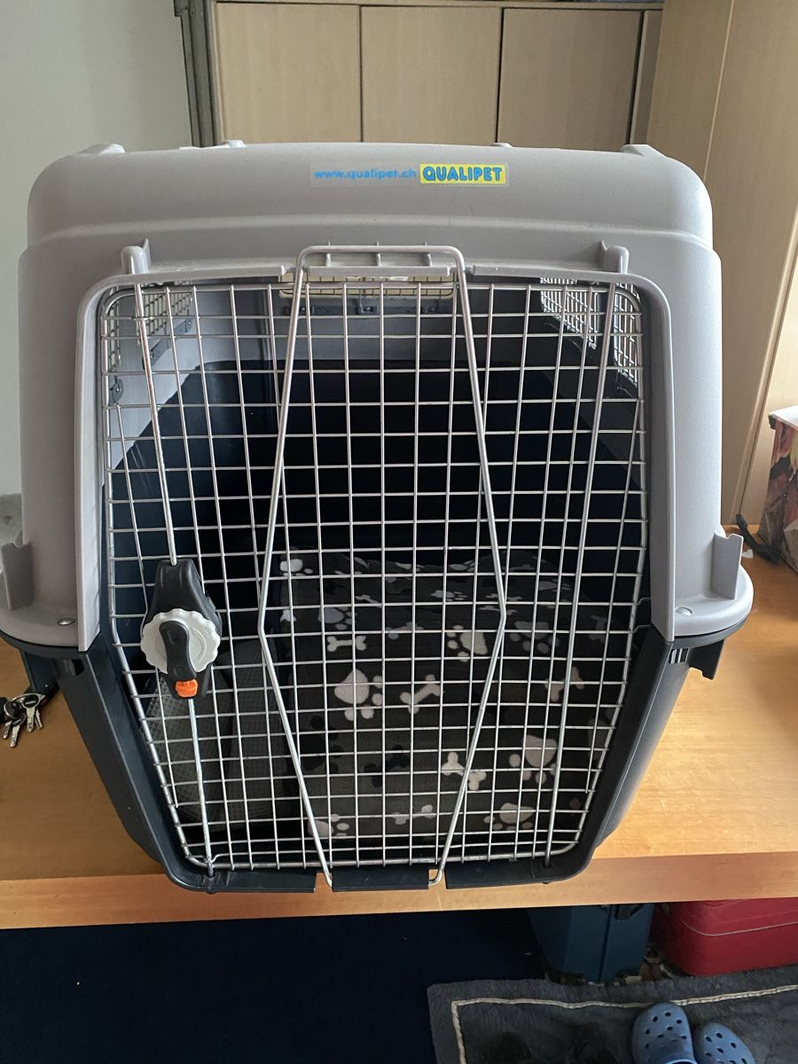 Gabbie, trasporto & Sicurezza: Grosse Hunde Transportbox von Qualipet – Nuovo (secondo la descrizione) da Berikon venduto da Golfandy51 1