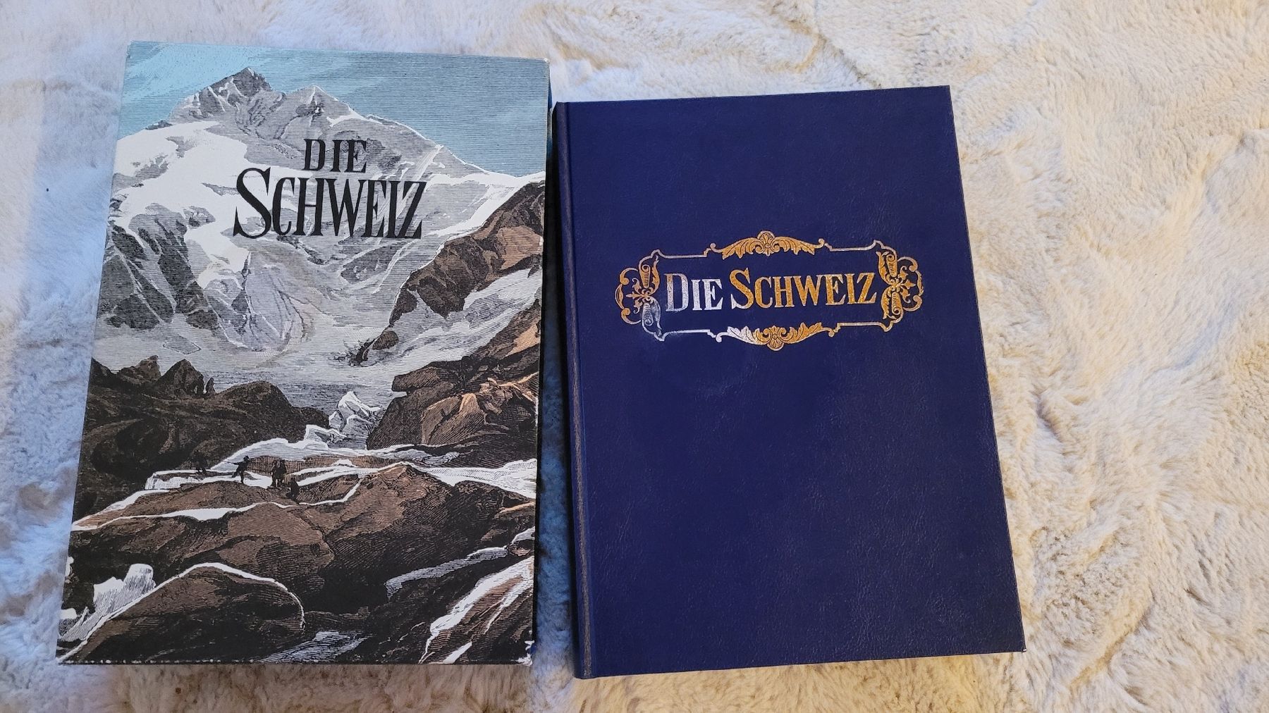 Libri: Buch DIE SCHWEIZ vintage – Usato da Horgenberg venduto da Klatschmohnmaria 1