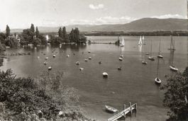 Lac de Genève - Le Creux de Genthod