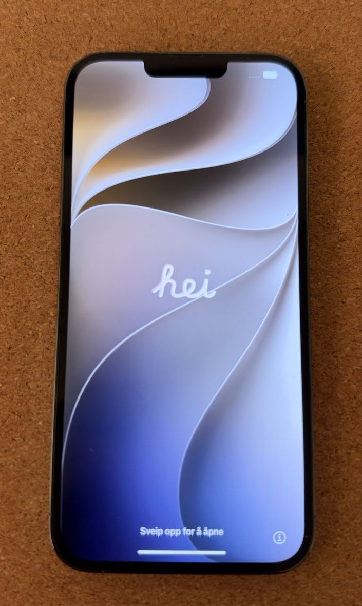 Apple Telefoni cellulari / Smartphones: iPhone 13 Pro Max 256 GB Sierrablau – Usato da Erstfeld venduto da kurmannjan 1