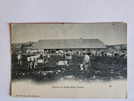 Carte postale ancienne, Autour du Chalet Mont Tendre
