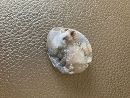 Schneckenfossil Bergkristall Edelstein Escargot Fossile