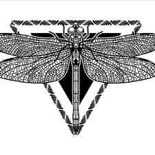 Profile image of organicaandunica