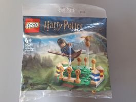 LEGO® Harry Potter, Quidditch Practice Polybag 30651