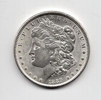 (344) USA, 1 Dollar, Morgan, 1889, top stgl