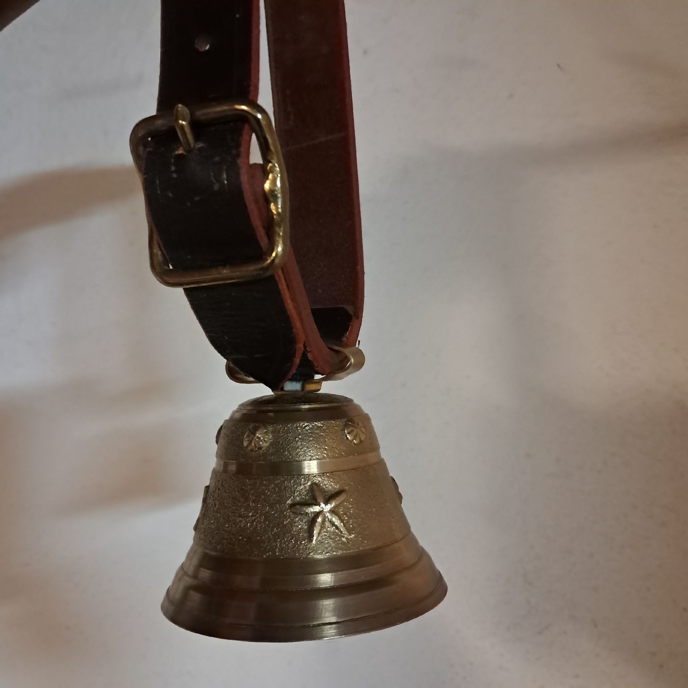Campanacci mucche: Kleine Schweizer Glocke – Usato da Murten venduto da SHETHOF 2