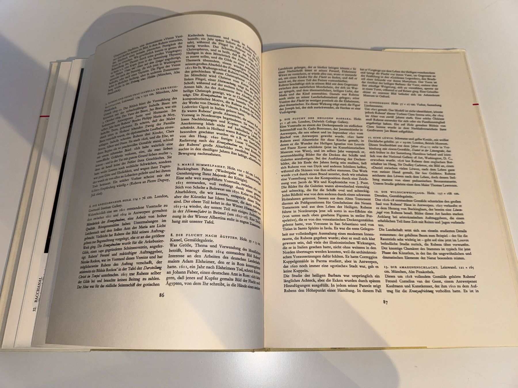 Libri: BUCH: Rubens – Usato da Grosswangen venduto da Second_hand_paradise 6