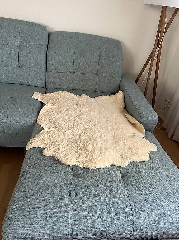 Divani: Sofa hellgrün – Usato da Oberrohrdorf venduto da Lillo100 4