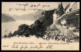 AK Seelisberg, Hotel-Waldhaus Rütli und Pension Sonnenberg