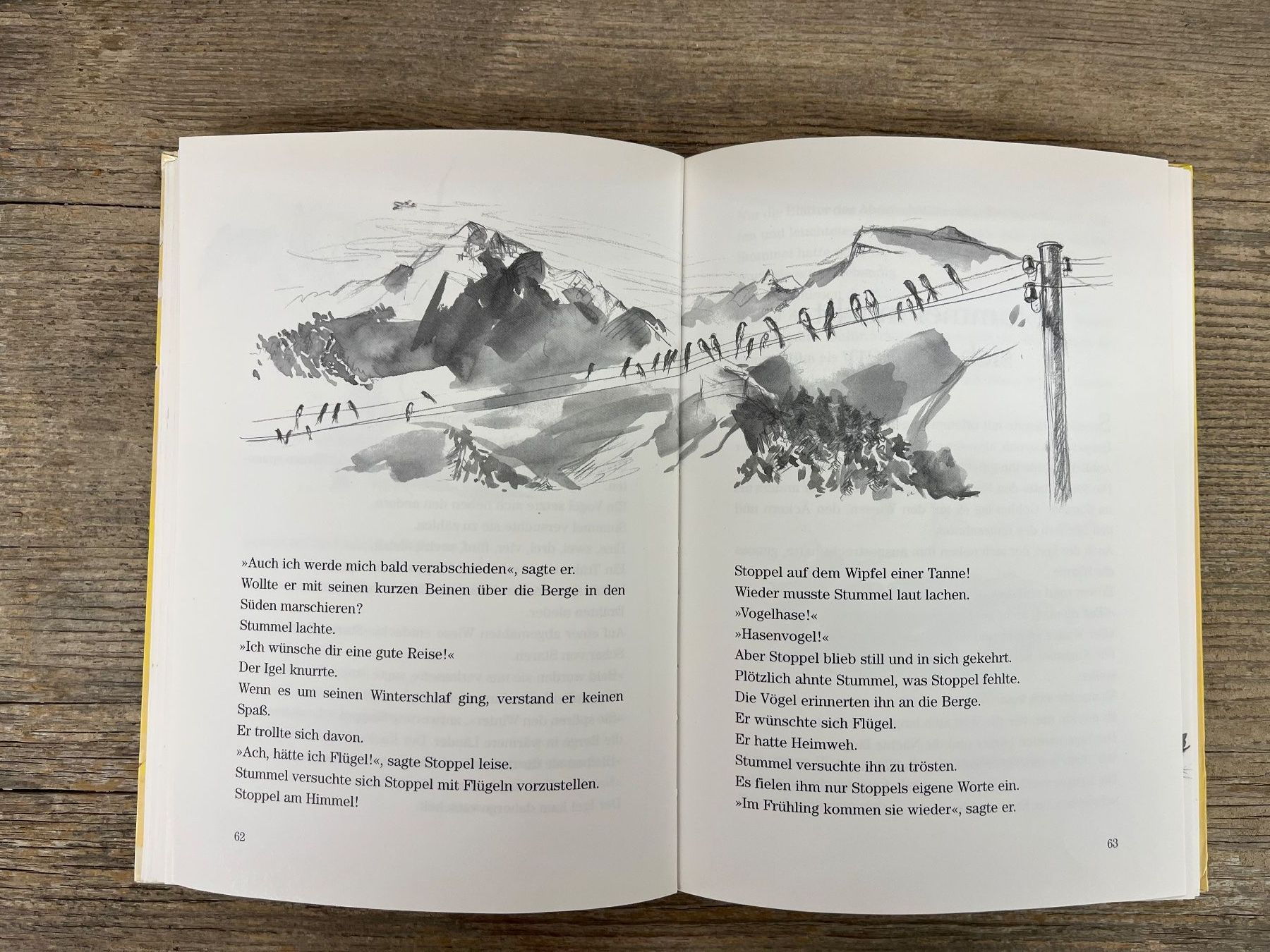 Libri: Vorlesebuch: Stummel ein Hasenkind wird gross, 1. Aufl. 1999 – Usato da Pfäffikon ZH venduto da buresi 5