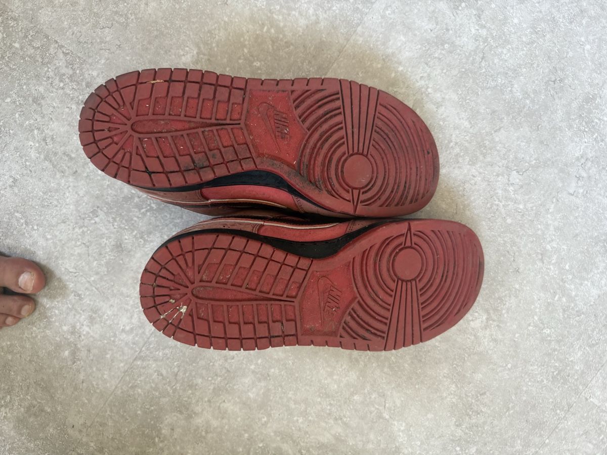 Nike Scarpe da uomo: Nike SB Lobster Red grösse 46 gebraucht – Usato da Wynau venduto da Ziegler_Secondhand 5