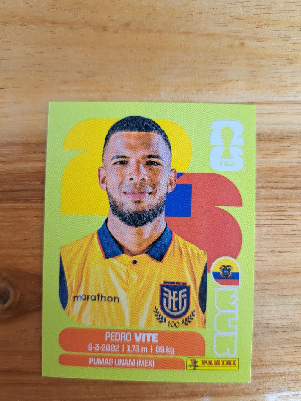 Panini Cartes à collectionner: Panini FIFA World Cup ECU 12 – Neuf (Voir description) à Waldenburg par Sysilu