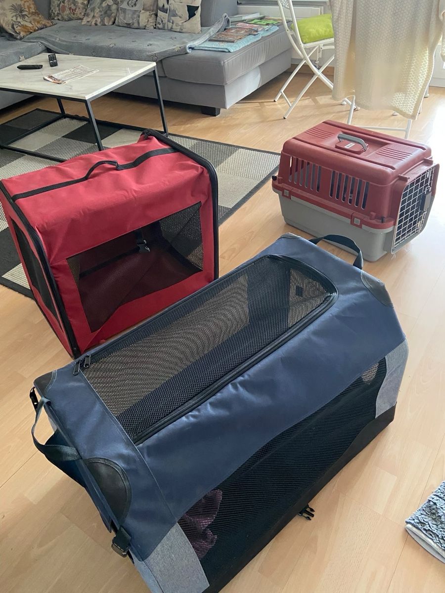 Käfige, Transport & Sicherheit: Transportboxen Hund Katze zusammen oder einzeln – Gebraucht aus Zuchwil von ngr_8zfz