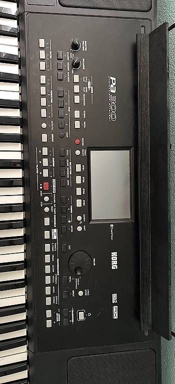 Korg Strumenti musicali: Korg PA 300 Keyboard – Usato da Oberaach venduto da sinsemilla13 2