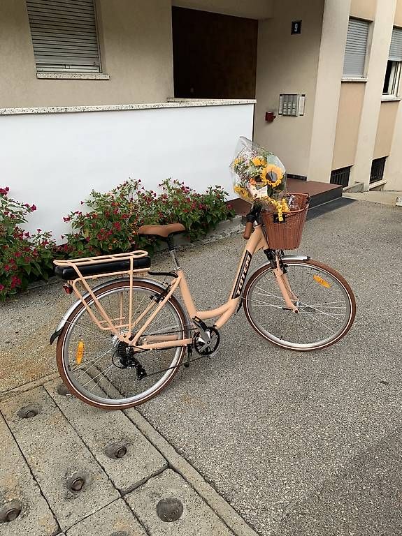 Biciclette: E-Bike lindsey Peach – Usato da Chiasso venduto da vas_gr79