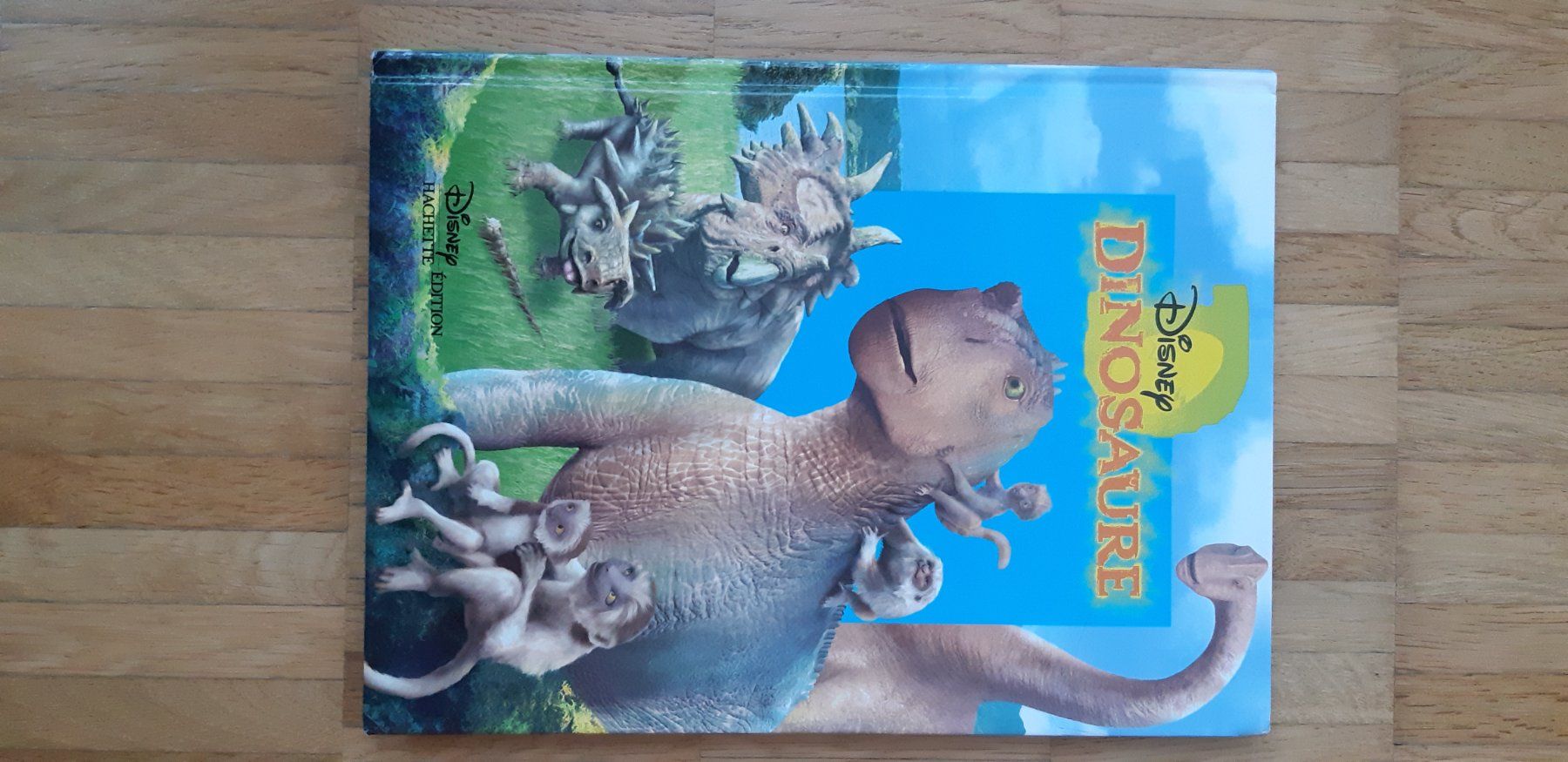 Libri: Dinosaure de Disney – Usato da Meyrin venduto da lay_6z6q