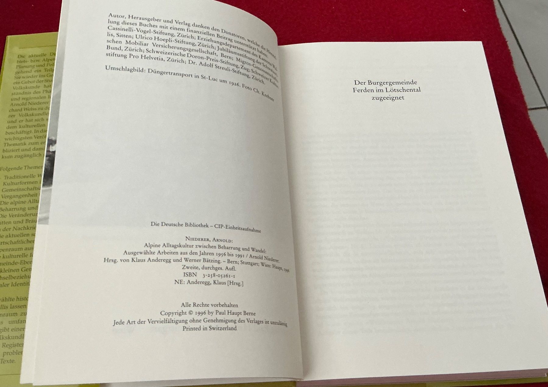Libri: Alpine AlltagsKultur Volkskunde Lötschental - A. Niederer – Usato da Naters venduto da seidengut 2