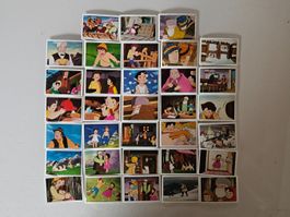 Panini Heidi 2004