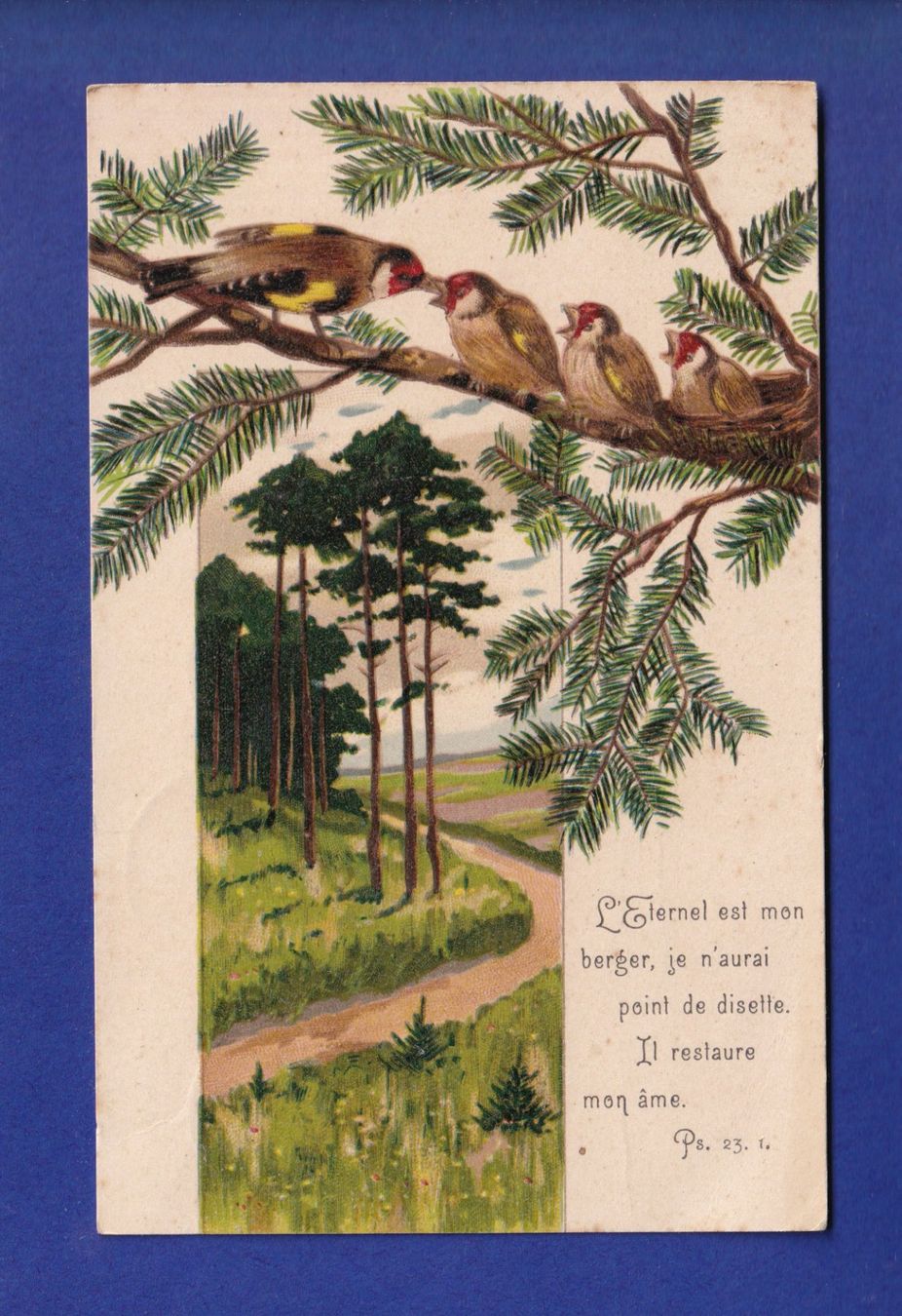 Cartoline postali: OISEAU - Verset – Usato da Pully venduto da nicecards-shop