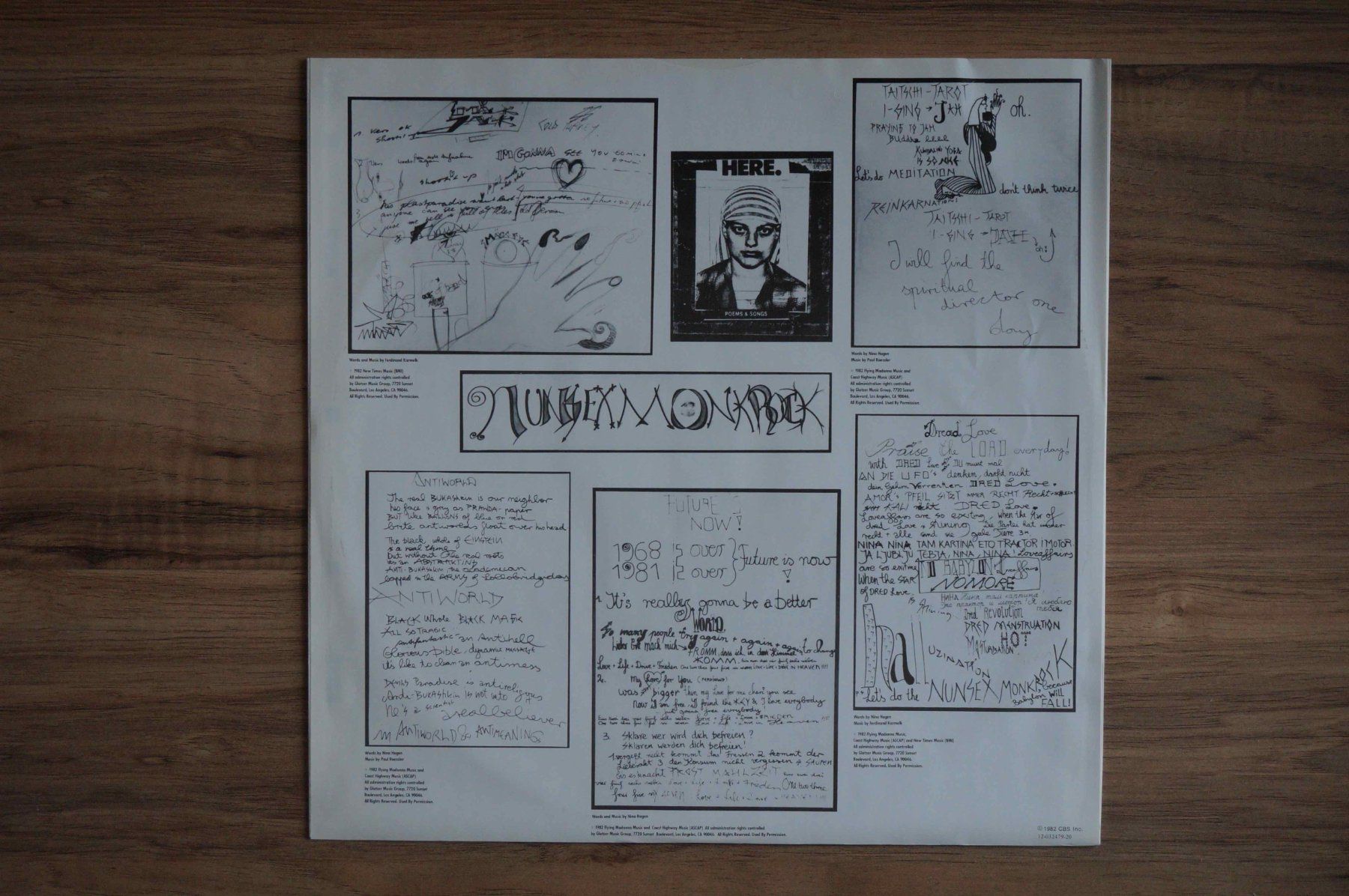 Dischi in vinile: Nina Hagen – Usato da Schindellegi venduto da woneschi 3