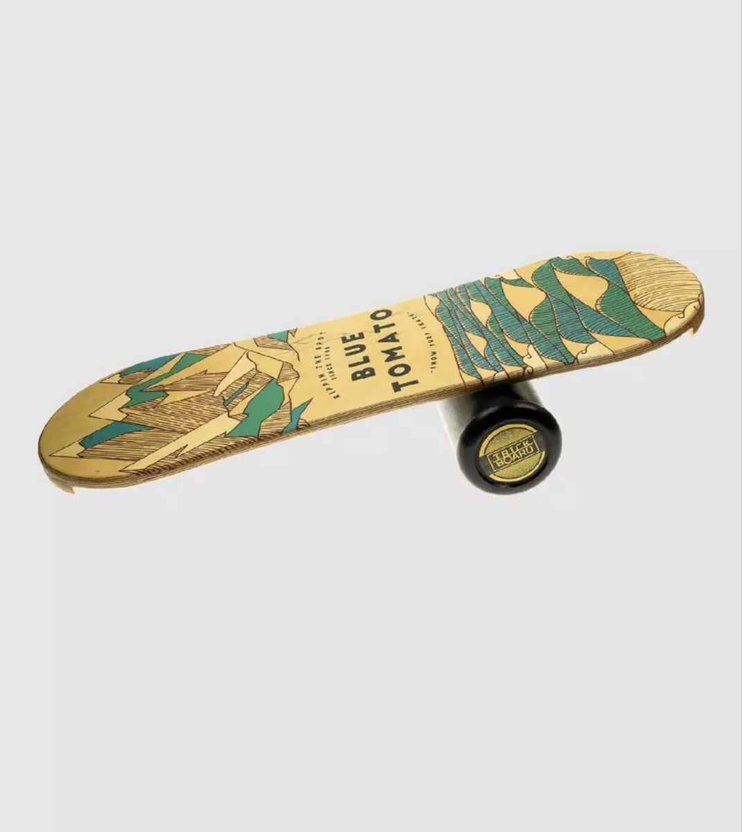 Hometrainer: Balance Board – Usato da Kriens venduto da cam_6yx6 4